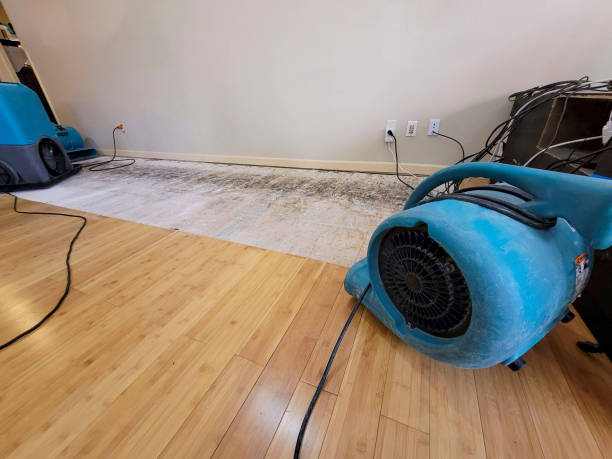 Professional Structural Drying technician working in Albertville, AL
